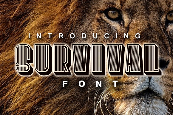 Survival: A Bold and Authentic Display Font for Creative Expression